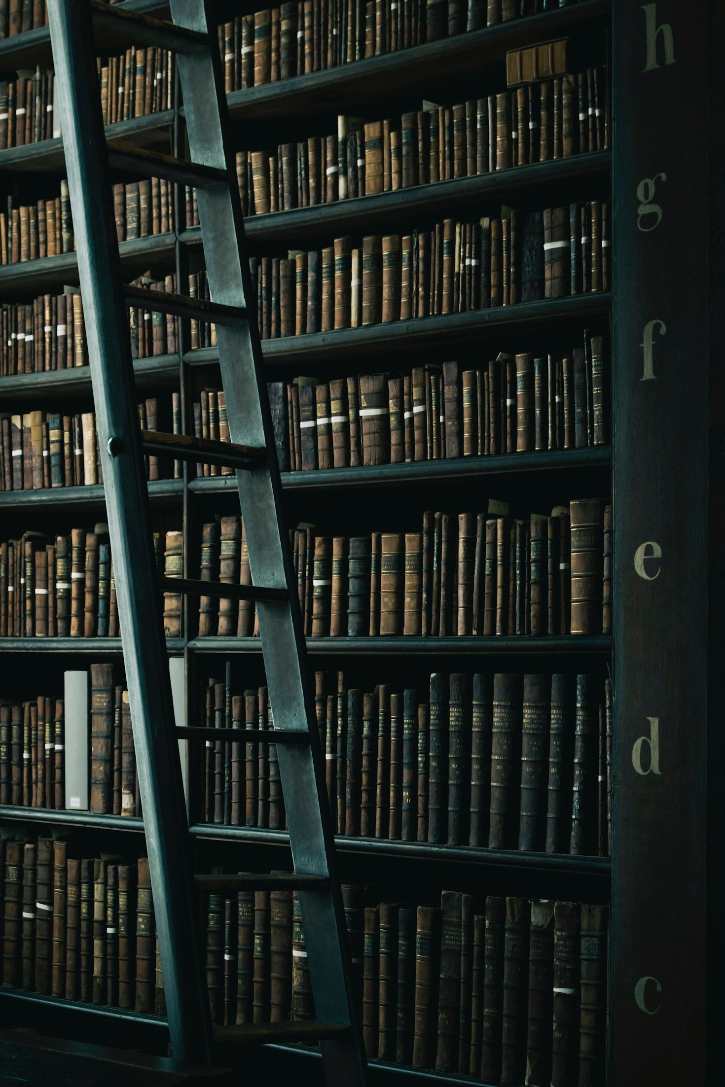 The Benefits of Reading: More Than Just a Hobby